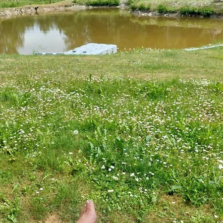 Дом отдыха Kuuse Metsamaja