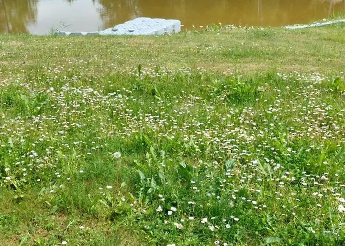 بيت للعطل Kuuse Metsamaja